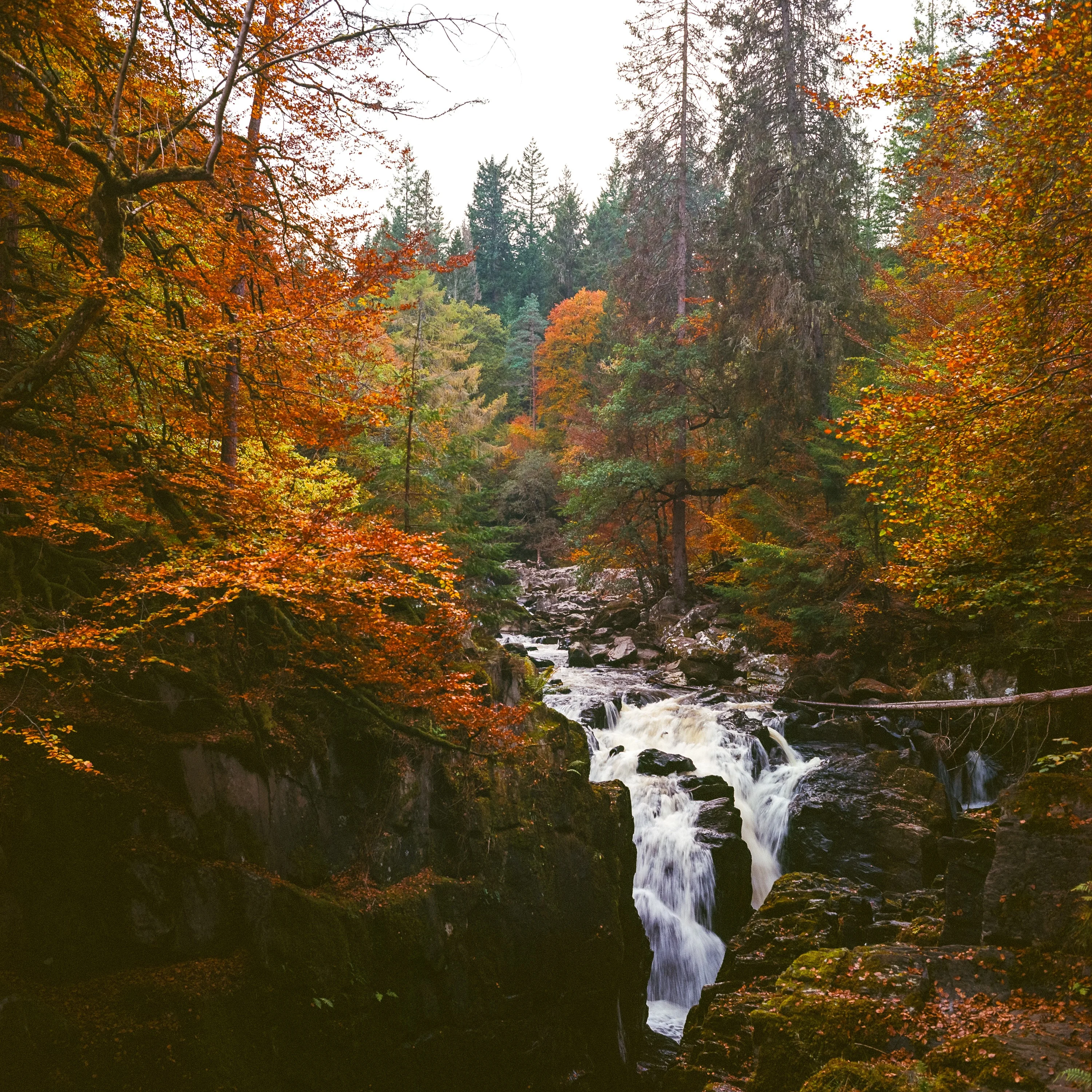 A waterfall pouring through a rocky gorge between orange and gold autumn trees