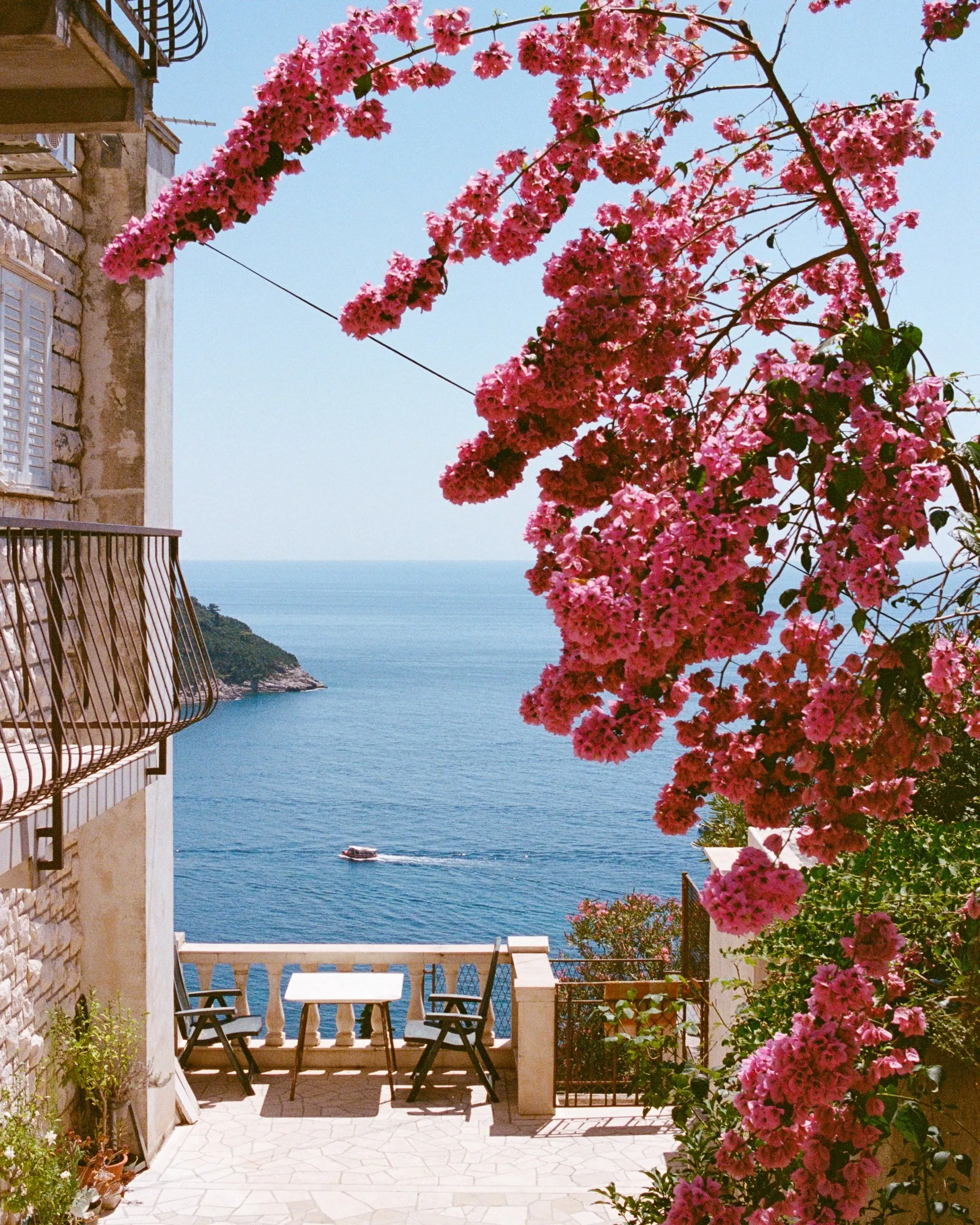 Pink bougainvillea arching over a terrace above a deep blue bay, a boat crossing below