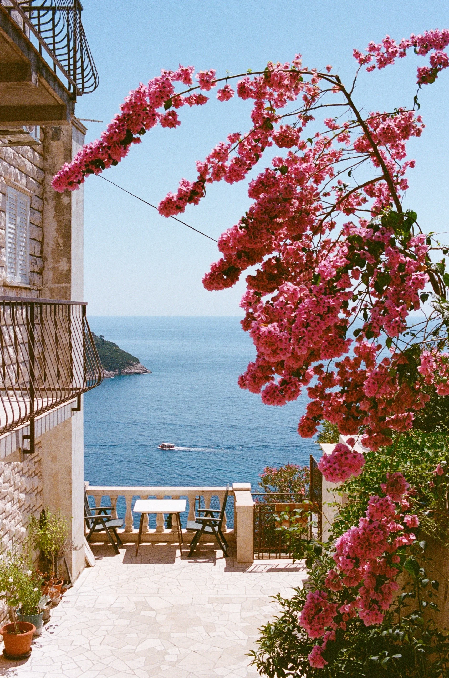 Pink bougainvillea arching over a terrace above a deep blue bay, a boat crossing below