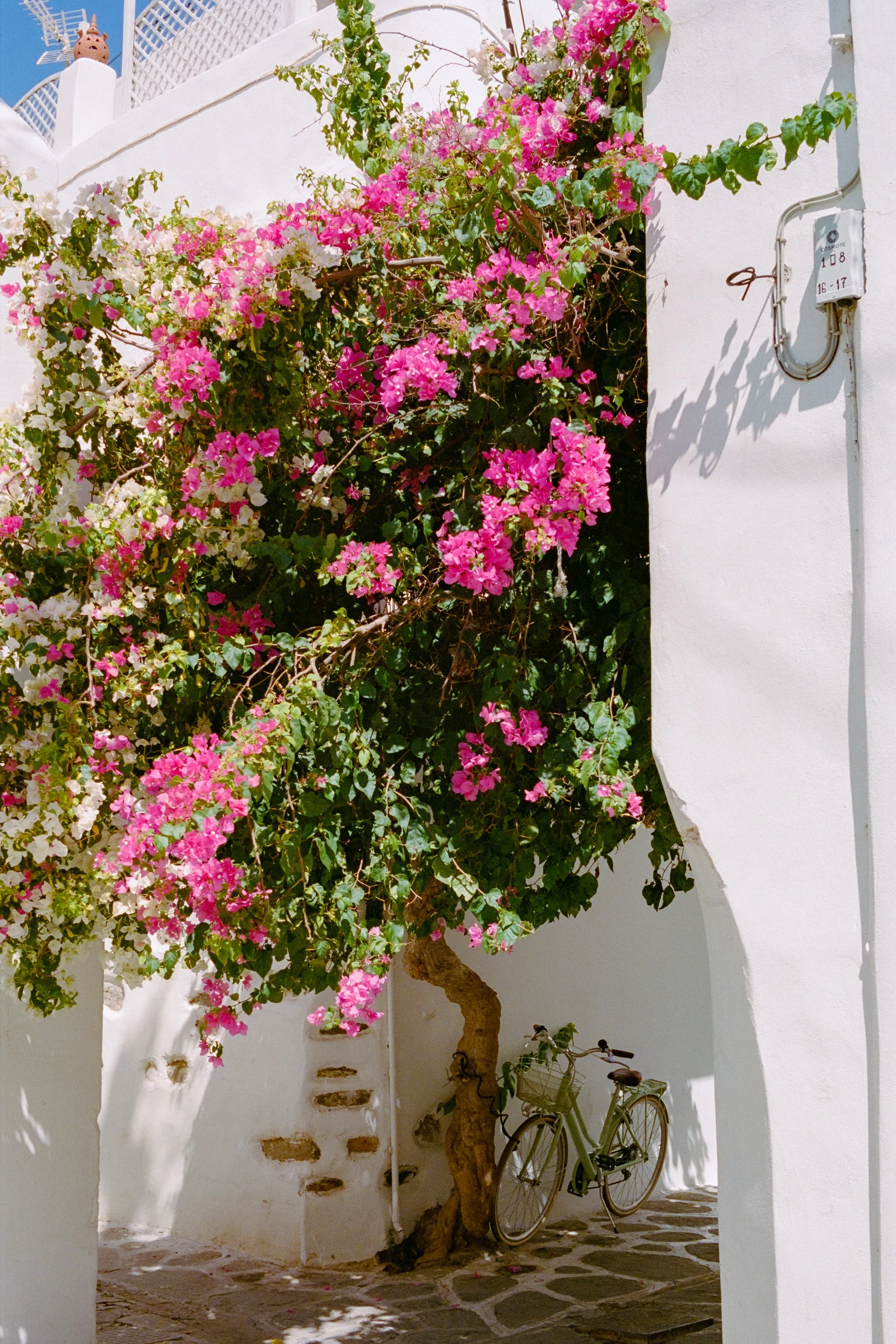 Pink bougainvillea spilling over a whitewashed lane, a bicycle leaning in the shade