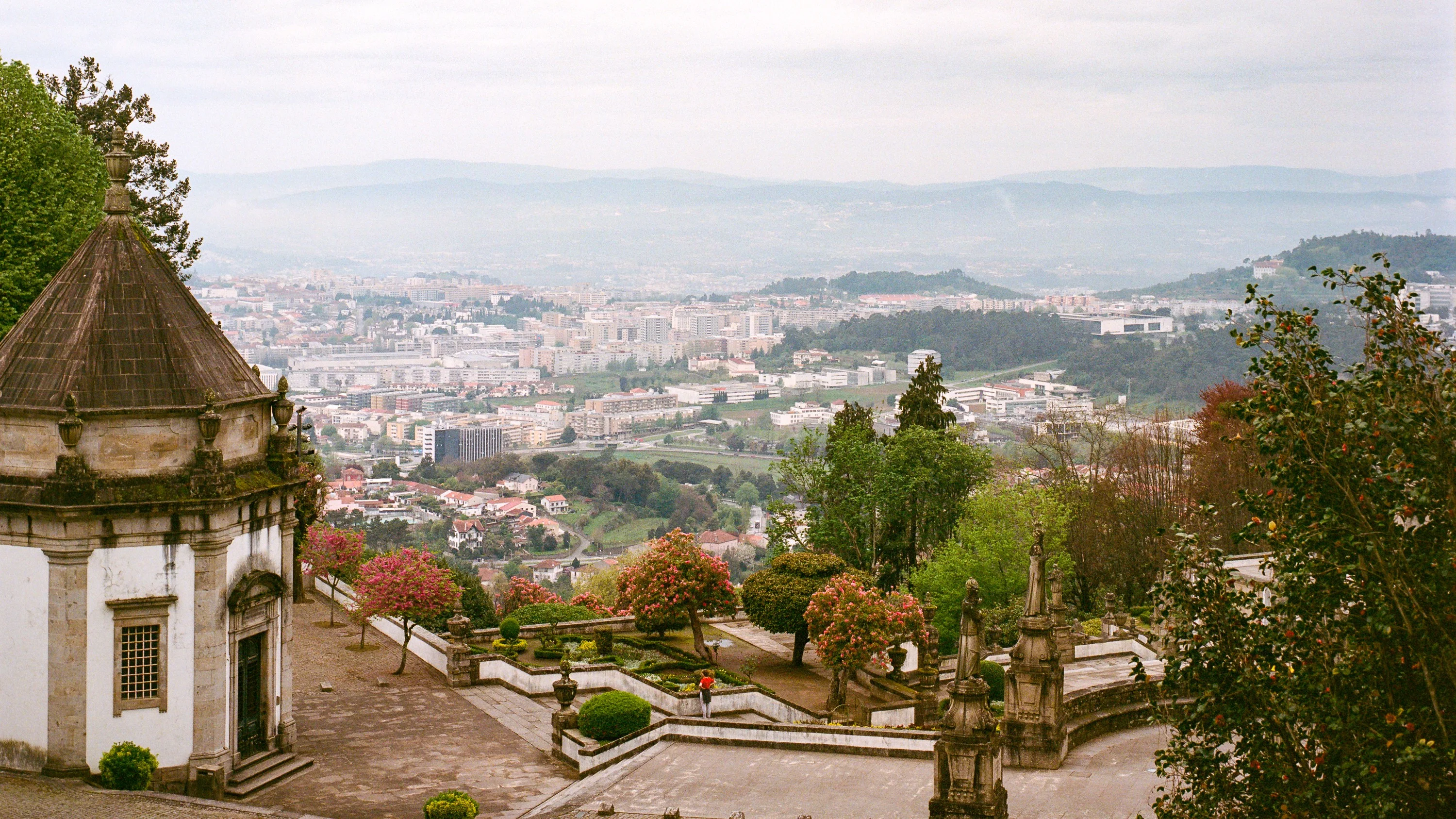 A view over the city from a hillside garden