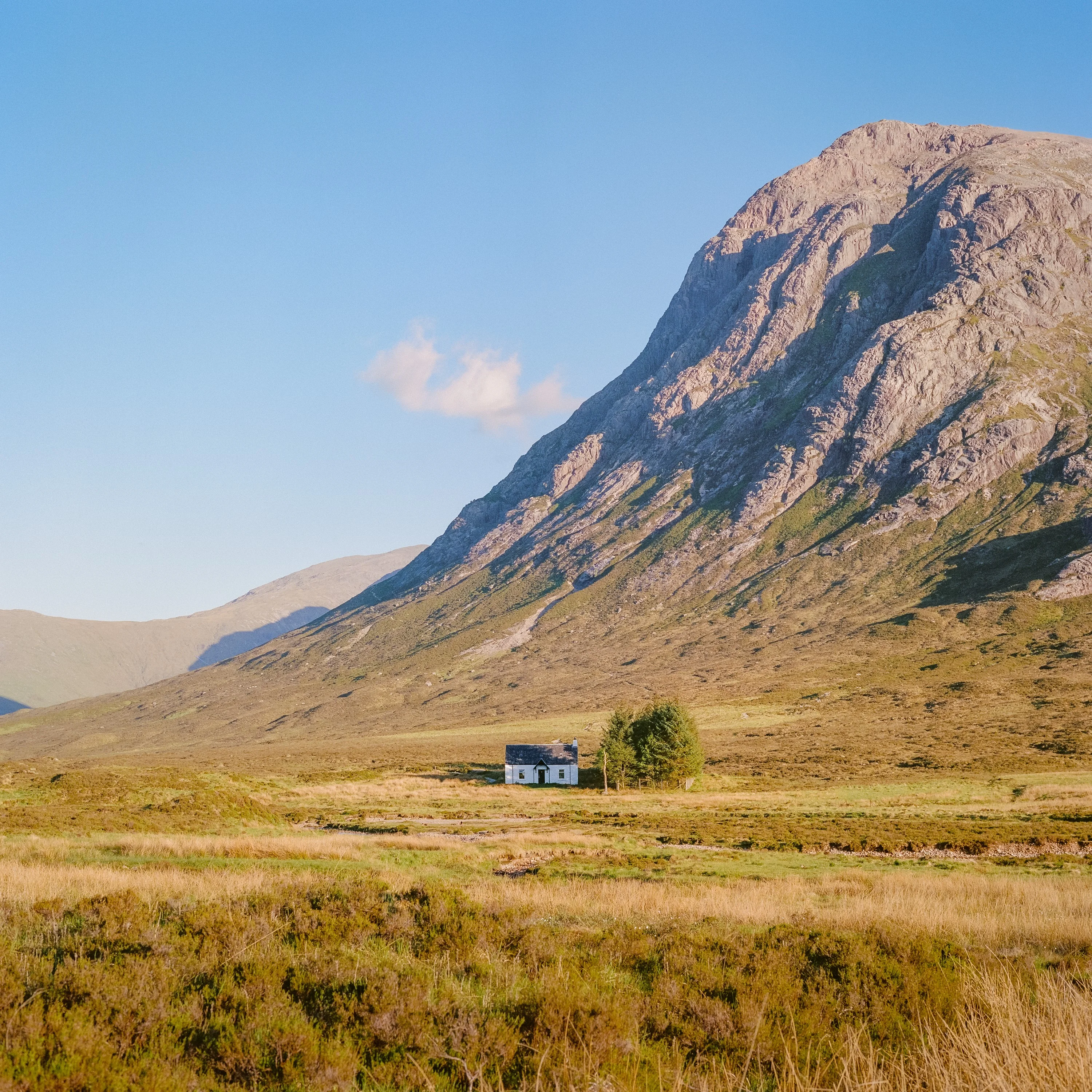 The peak of Buachaille Etive Mor above golden moorland and a small white cottage