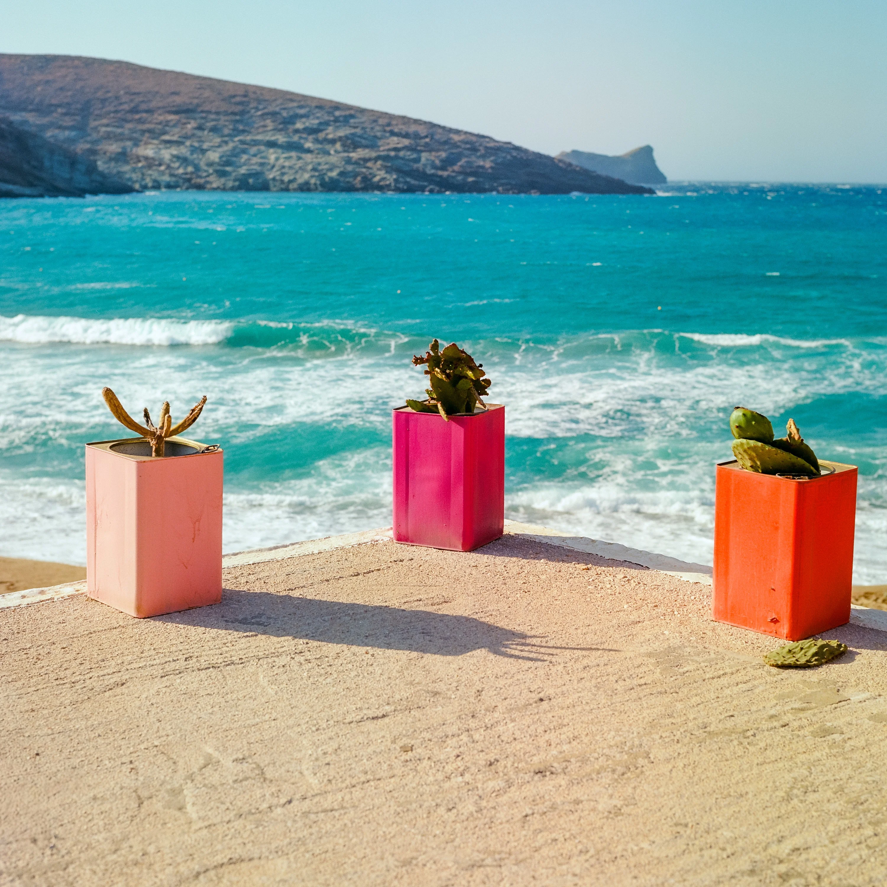 Three cactus pots painted pink, magenta and orange on a terrace above the surf
