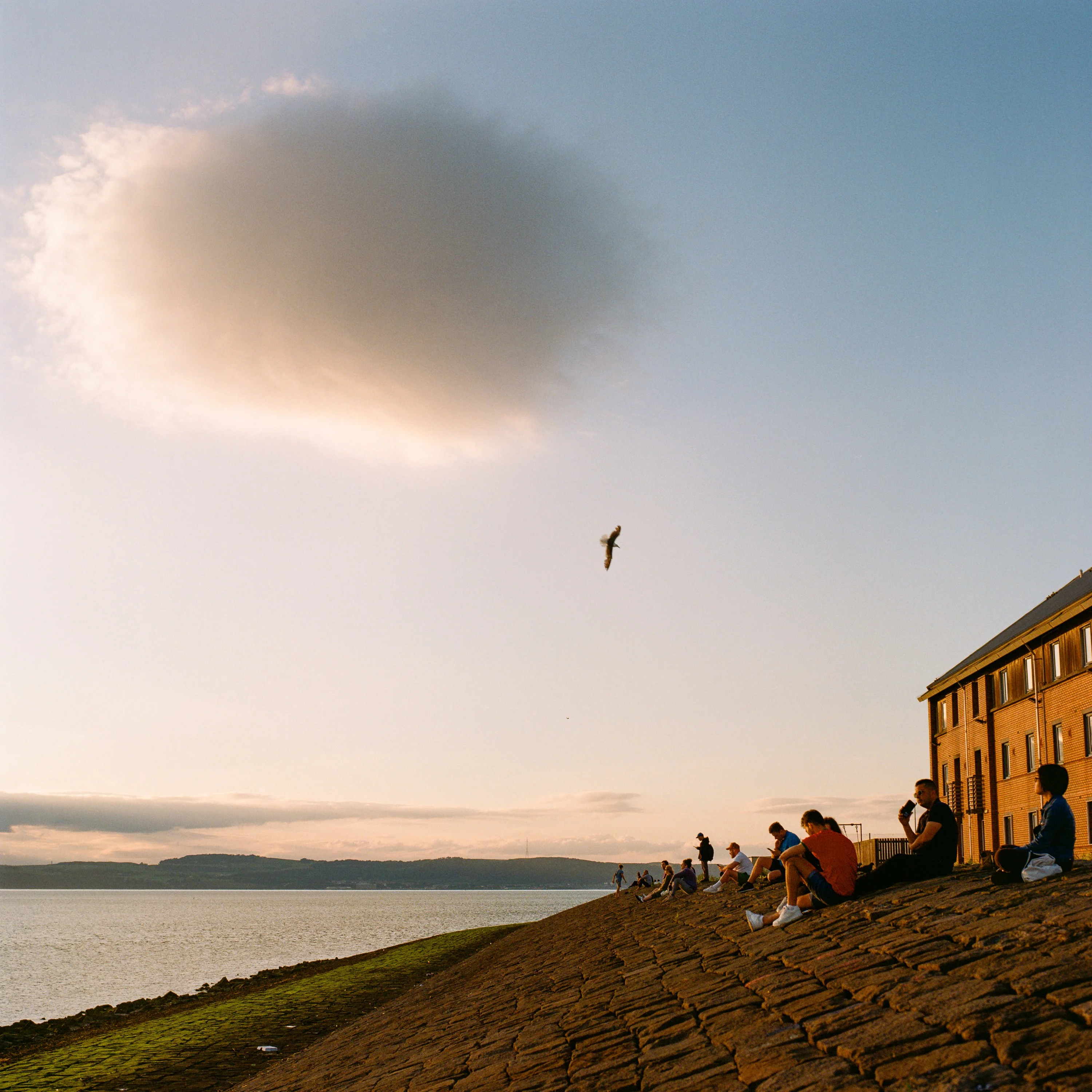 People sitting on a sea wall under a single evening cloud, a gull overhead
