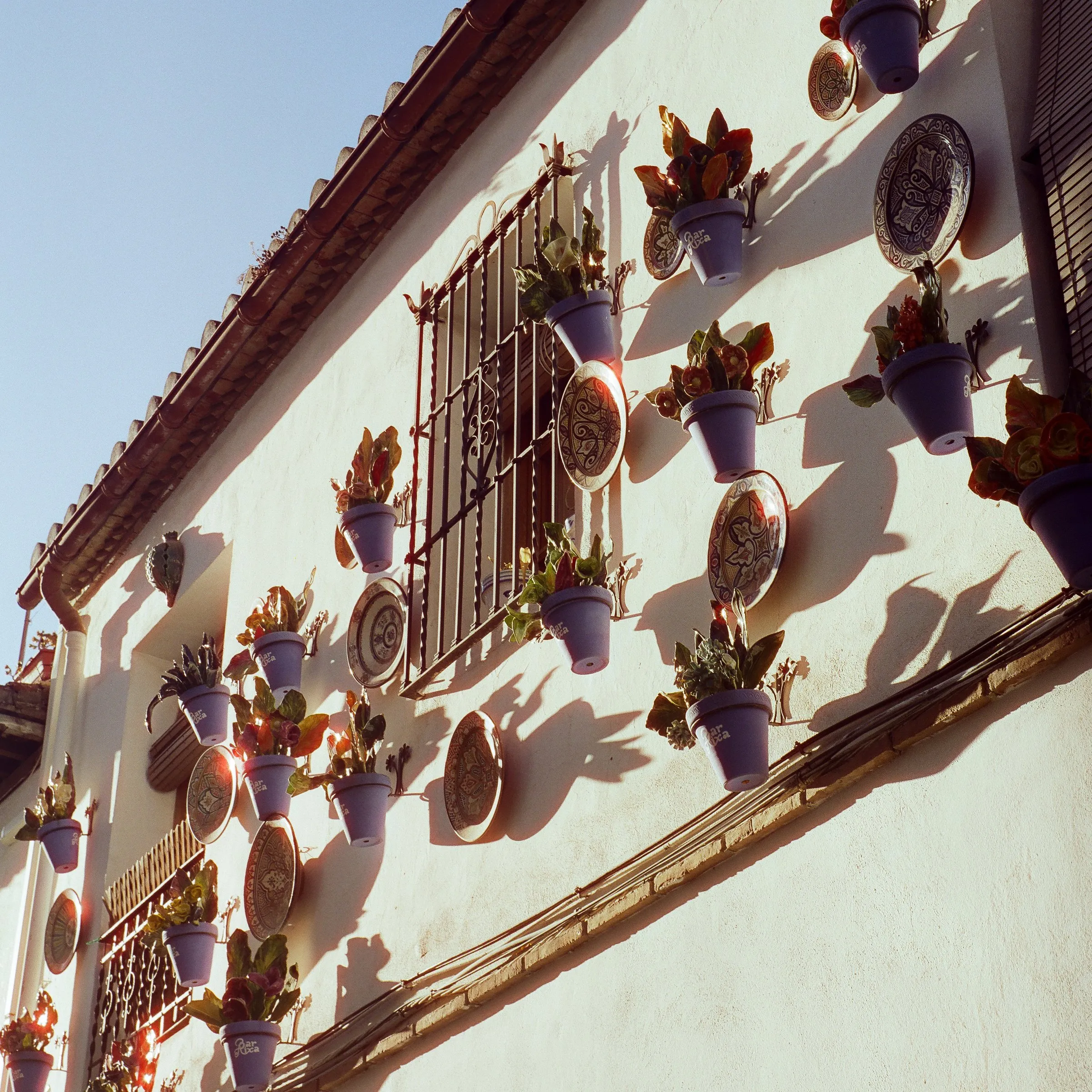 Blue flowerpots and painted plates hung on a sunlit white wall