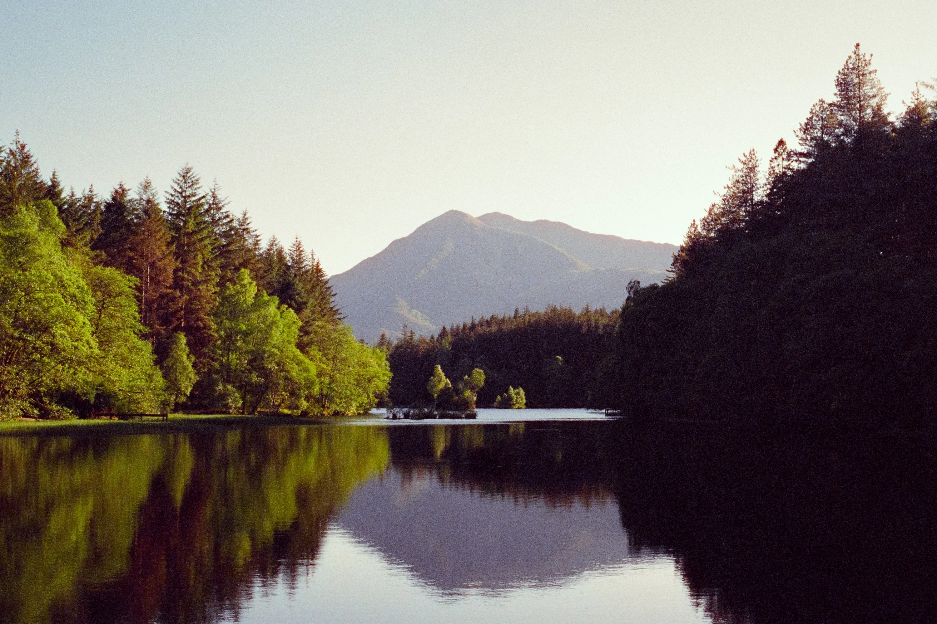 Forest and a mountain reflected in a still loch