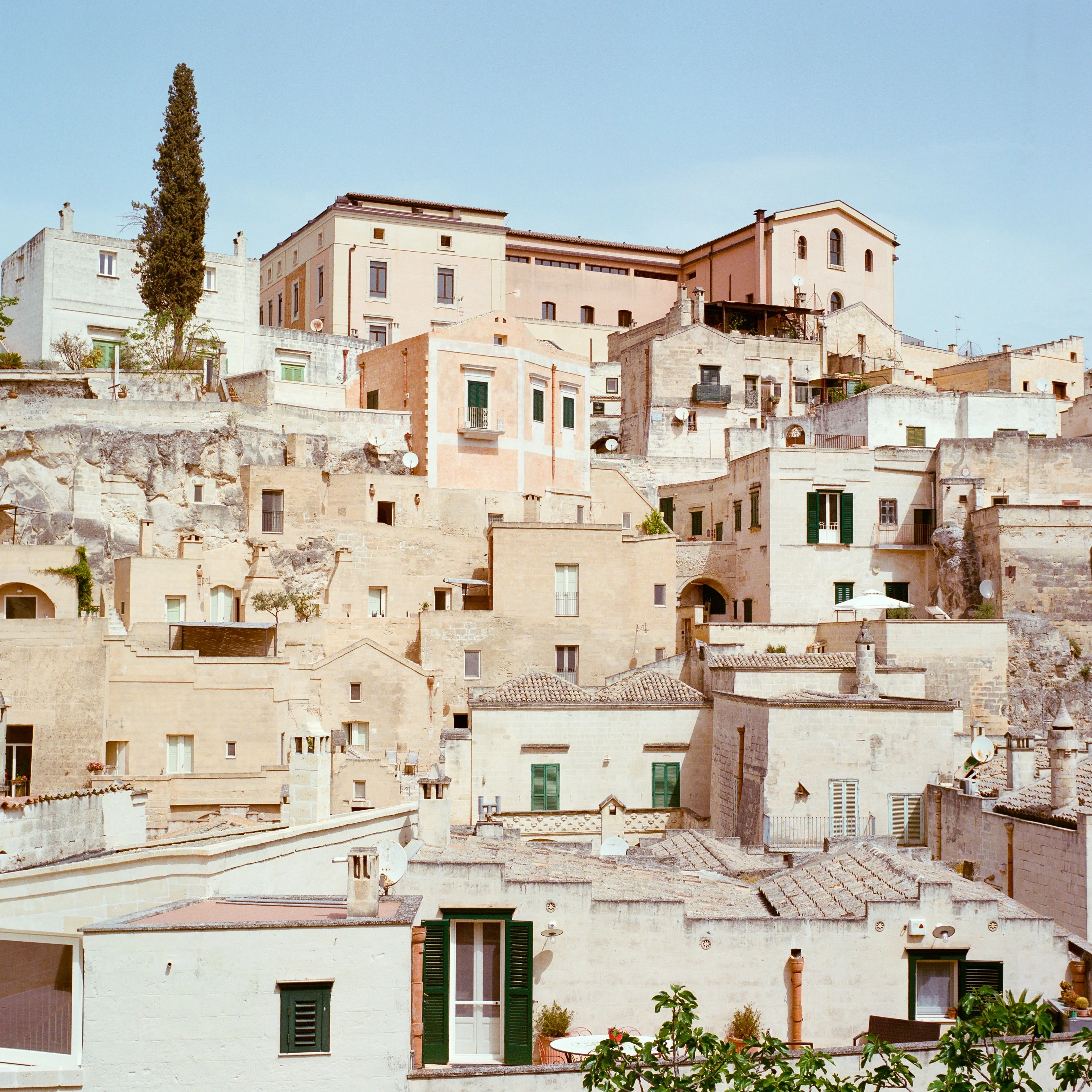 Stone houses stacked up the hillside in Matera, a cypress at the top