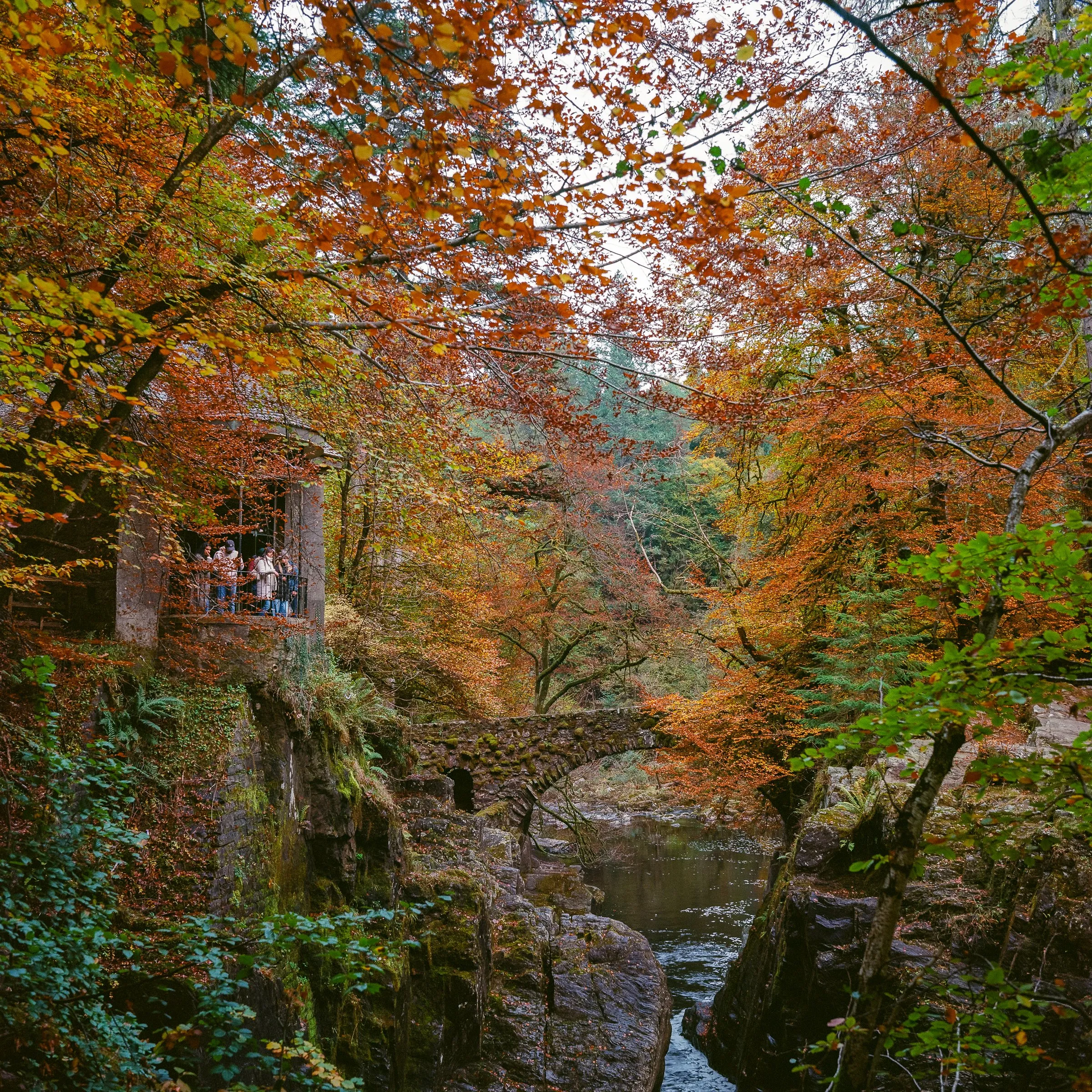 Visitors on the balcony of a stone folly above the river, framed by autumn leaves