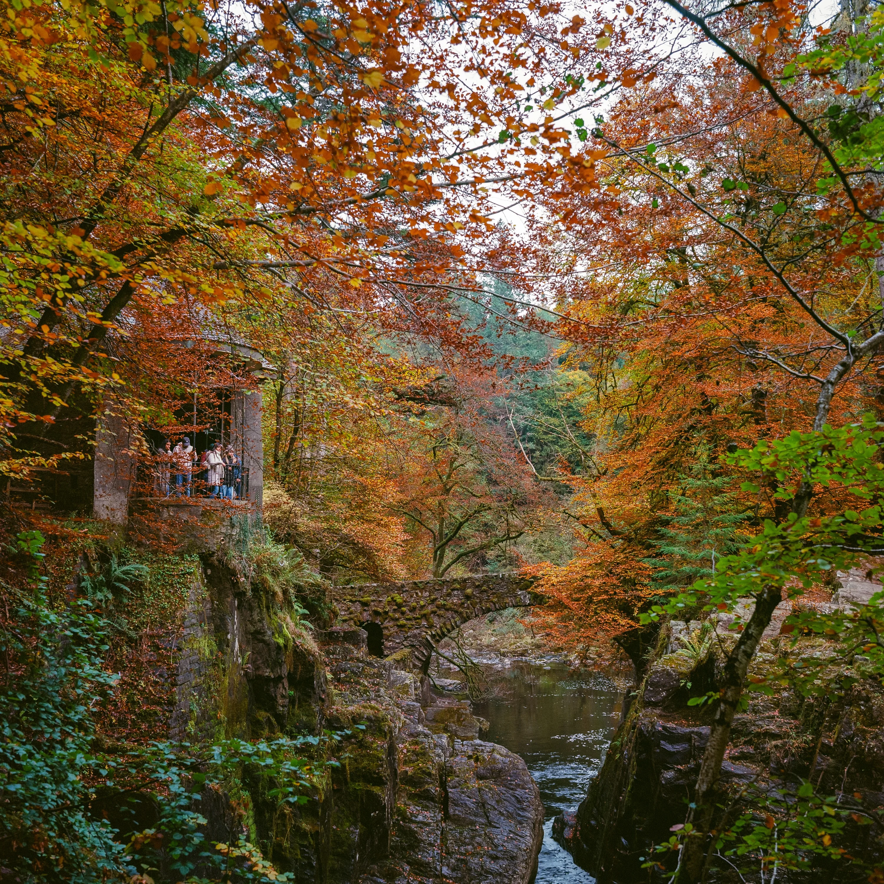 Visitors on the balcony of a stone folly above the river, framed by autumn leaves