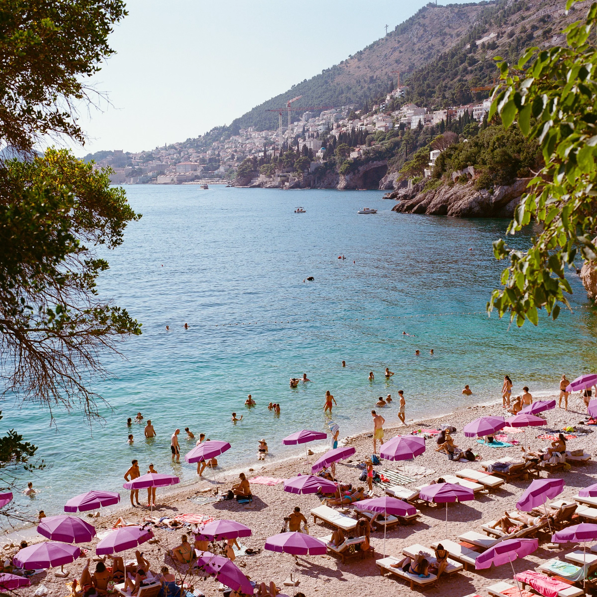 A beach crowded with pink parasols beside clear blue water