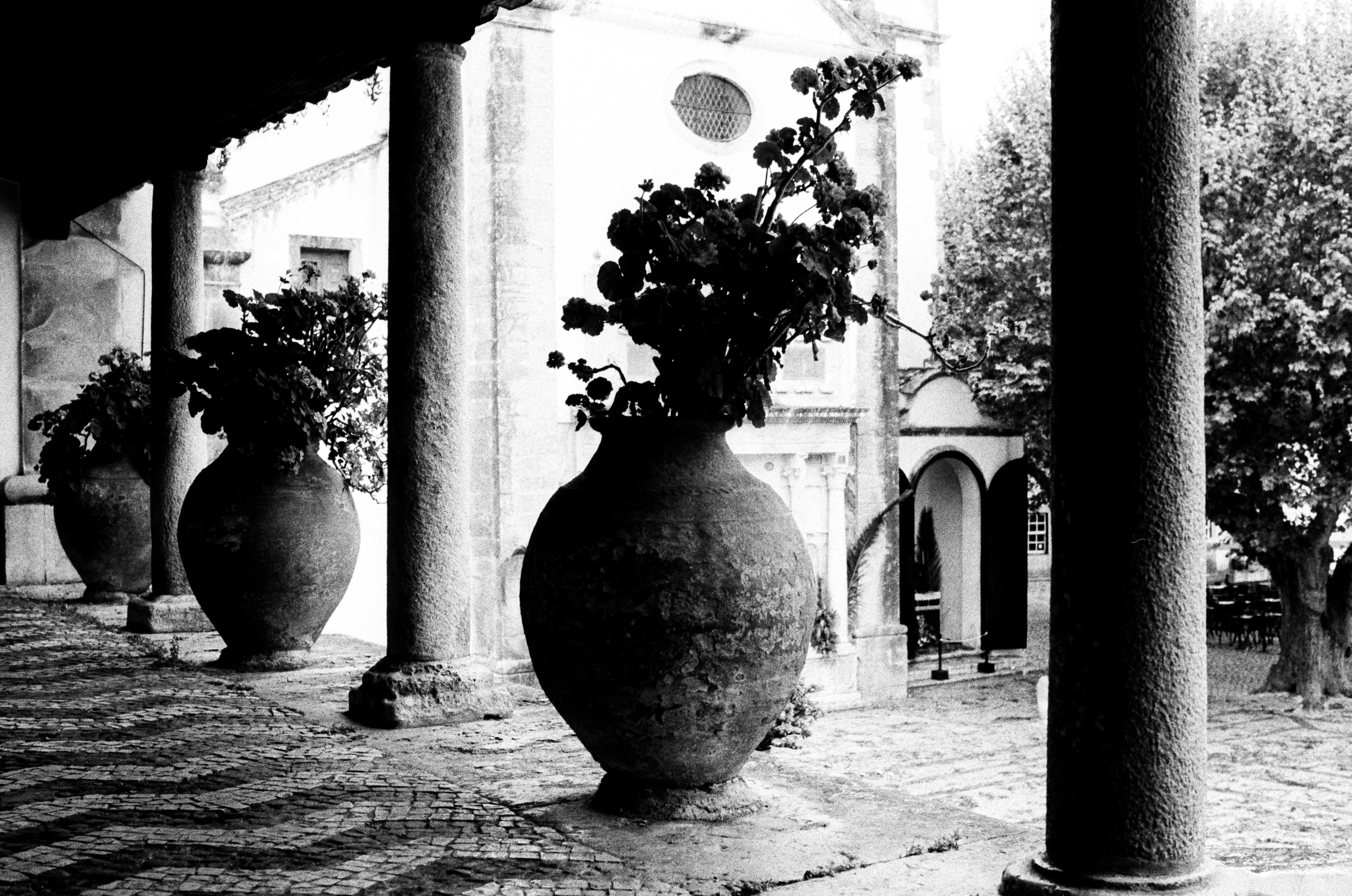 Black and white: large pots between columns in a shaded courtyard