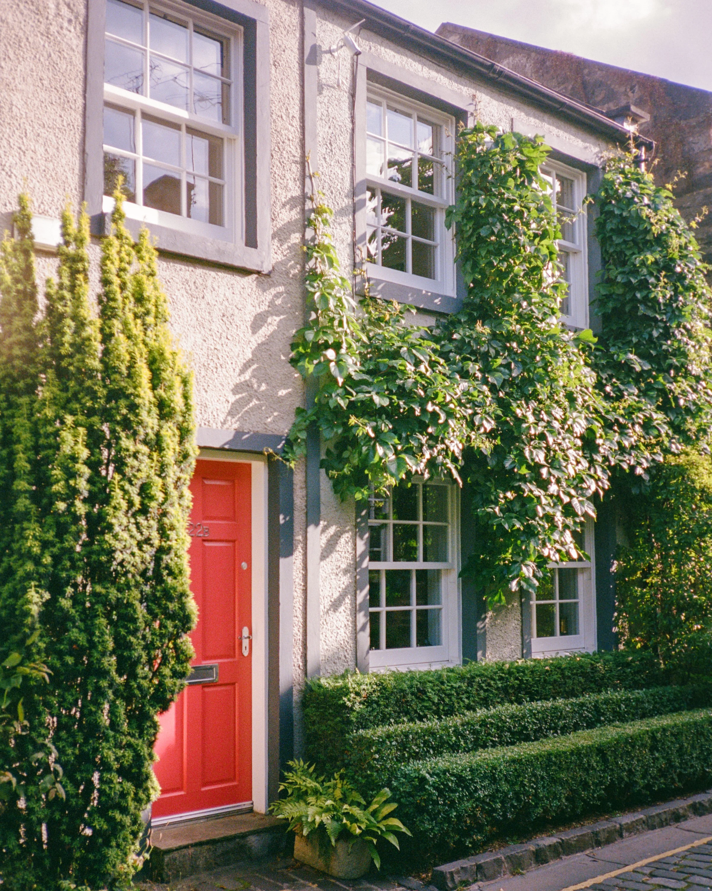 A red front door in a stone cottage covered in ivy, neat hedges in front