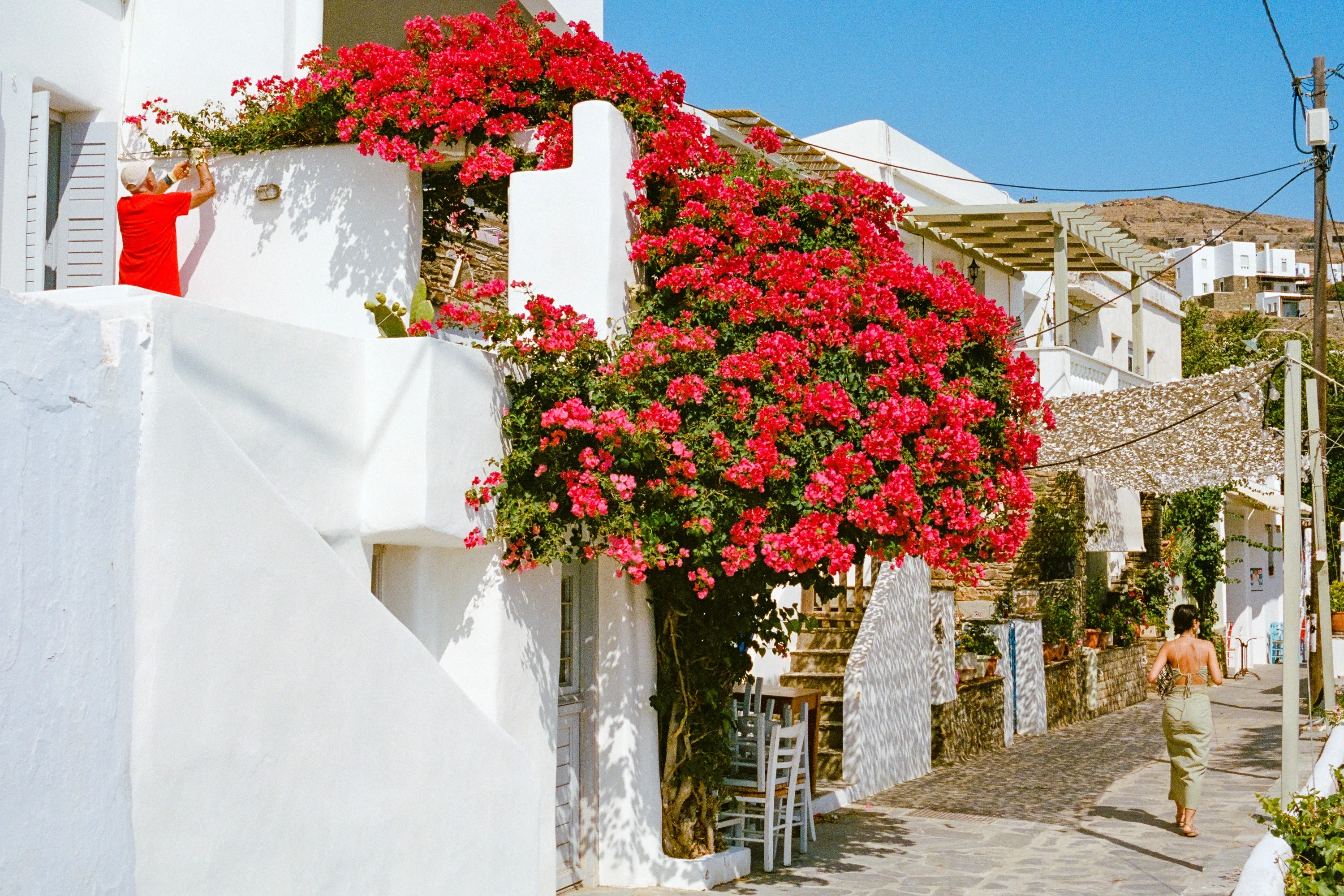 A whitewashed street with red bougainvillea over a balcony, a man walking away