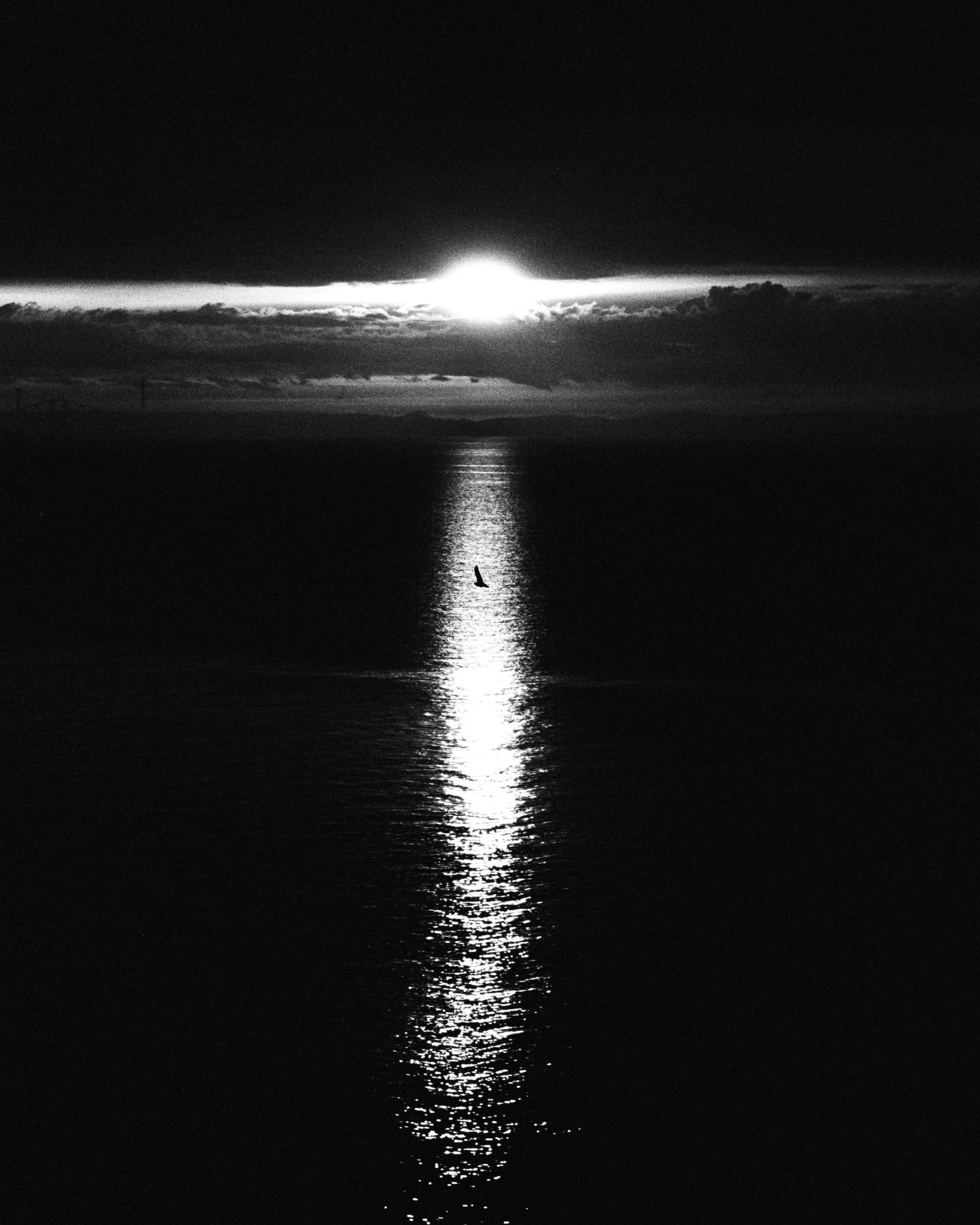 Black and white: the sun reflecting on dark sea