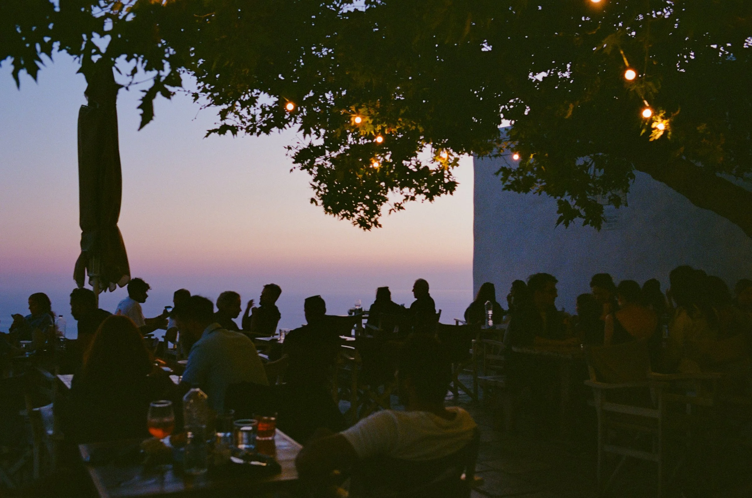 Diners in silhouette under a tree as the sky turns pink