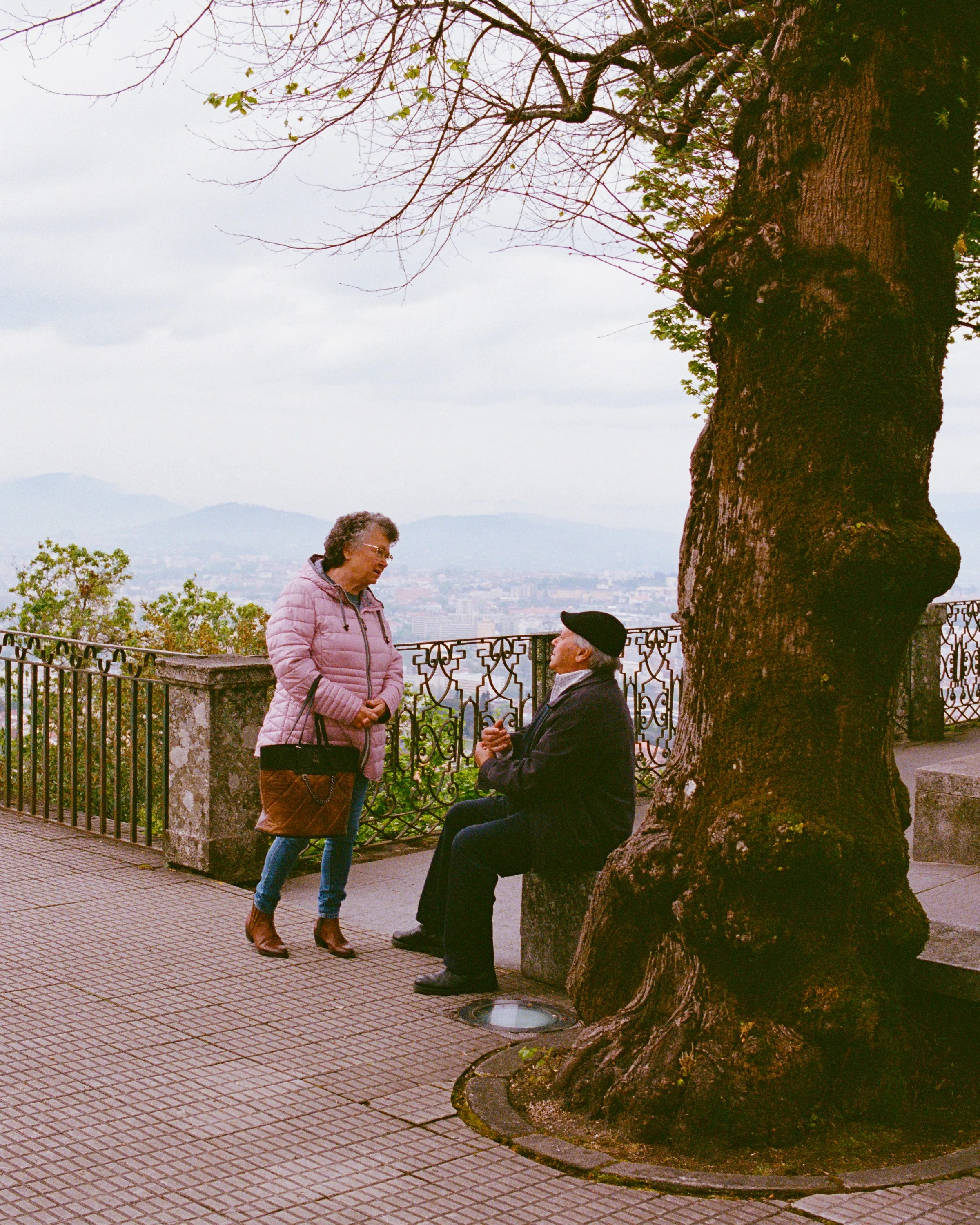 An old couple at a viewpoint beside a large tree
